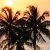 Ben > Bahamas photo