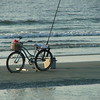 Beaufort, South Carolina : 