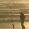 Pacific Coast Highway : 