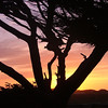 Oregon Coast : 