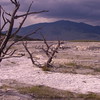 Ben > Yellowstone photo