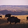 Badlands, South Dakota : 